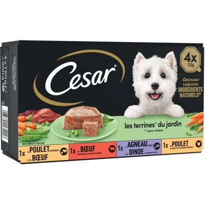 Cesar hondenvoer - 4 varianten - 150g bakjes - Volledig eten Cesar hondenvoer - 4 varianten - 150g bakjes - Volledig eten