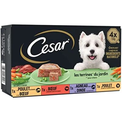 Cesar Classic Selection Mokra karma dla psów - Kompleksowa i naturalna Cesar Classic Selection Mokra karma dla psów - Kompleksowa i naturalna