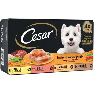 Cesar Hundmat - Grönsaks Hjärta - 6x150g Cesar Hundmat - Grönsaks Hjärta - 6x150g