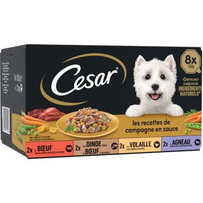 Cesar Mini Filets Hundefutter - 8x150g Cesar Mini Filets Hundefutter - 8x150g