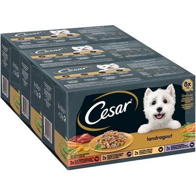 Croquettes pour chiens Cesar - Pack mixte pour petits chiens - 48 x 100g/150g Croquettes pour chiens Cesar - Pack mixte pour petits chiens - 48 x 100g/150g