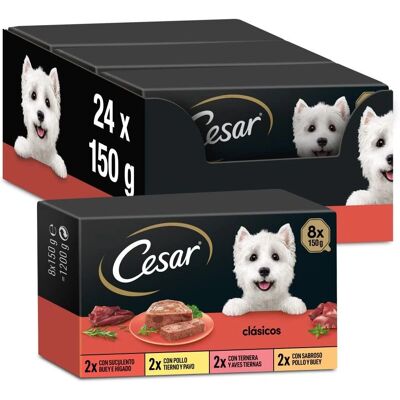 Cesar Modell - Fullvärdig hundmat - 8 skålar paket Cesar Modell - Fullvärdig hundmat - 8 skålar paket