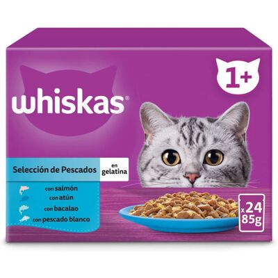 Comida Húmeda para Gatos Whiskas Selección Pescados - Alimento en Gelatina Comida Húmeda para Gatos Whiskas Selección Pescados - Alimento en Gelatina