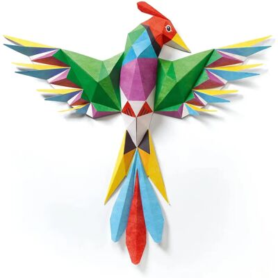 Poster 3D Amazonie Bird de Djeco - Création artisanale pour enfants - Publicité Poster 3D Amazonie Bird de Djeco - Création artisanale pour enfants - Publicité
