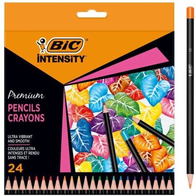 BIC Intensity Buntstifte - 24er Set BIC Intensity Buntstifte - 24er Set