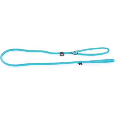 Martin Sellier Hondenriem en Halsband Set - Turquoise - Verstelbaar Nylon Martin Sellier Hondenriem en Halsband Set - Turquoise - Verstelbaar Nylon