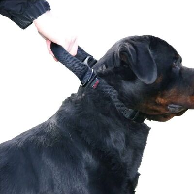Martin Sellier Hundehalsband - Verstellbar 50-70cm - Sicherheit & Training Martin Sellier Hundehalsband - Verstellbar 50-70cm - Sicherheit & Training