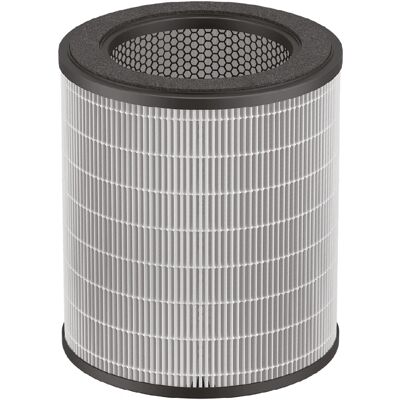 Rowenta XD6280F0 Luftfilter - Effektiver Luftreiniger Rowenta XD6280F0 Luftfilter - Effektiver Luftreiniger