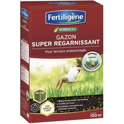 Mélange de Rénovation de Gazon Fertiligene - 2kg pour 100m² - Jardin & Pelouse - Publicité Mélange de Rénovation de Gazon Fertiligene - 2kg pour 100m² - Jardin & Pelouse - Publicité