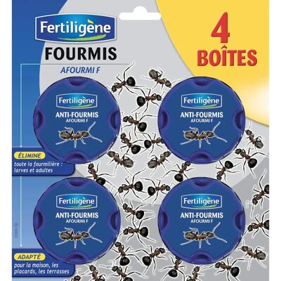 Evergreen Fertiligène KB - Lot de 4 boîtes appât pour fourmis - Publicité Evergreen Fertiligène KB - Lot de 4 boîtes appât pour fourmis - Publicité