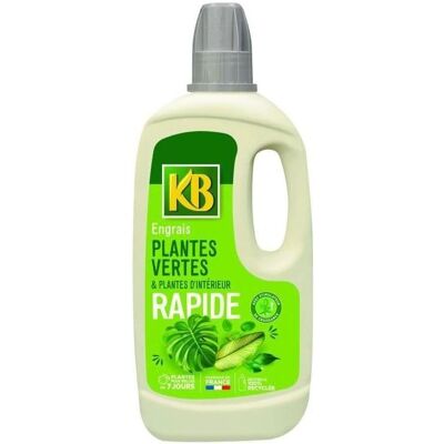 Engrais Rapide pour Plantes Vertes - Intérieur - Publicité Engrais Rapide pour Plantes Vertes - Intérieur - Publicité