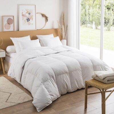DUNLOPILLO - Jade - 220x240 - 40% édredon - duvet - Publicité DUNLOPILLO - Jade - 220x240 - 40% édredon - duvet - Publicité