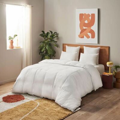 DUNLOPILLO - Couette Natur' Protect - 70% duvet - 140/200 - Publicité DUNLOPILLO - Couette Natur' Protect - 70% duvet - 140/200 - Publicité