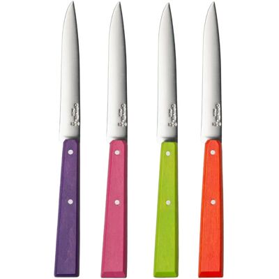 OPINEL Bon appétit Pop 4 coltelli - Set di posate OPINEL Bon appétit Pop 4 coltelli - Set di posate
