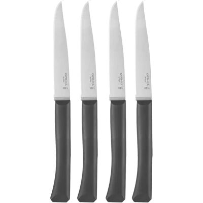 Coffret 4 couteaux Opinel micro-dentés - Acier inoxydable - France - Publicité Coffret 4 couteaux Opinel micro-dentés - Acier inoxydable - France - Publicité