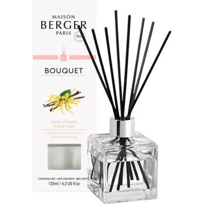 Maison Berger Paris - Cube Scented Bouquet - Ylang's Sun Maison Berger Paris - Cube Scented Bouquet - Ylang's Sun