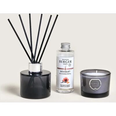 Set diffusore di aromi Maison Berger Paris Nero Velluto dell'Oriente - Aromaterapia Set diffusore di aromi Maison Berger Paris Nero Velluto dell'Oriente - Aromaterapia