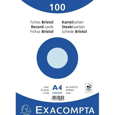 Exacompta Bleu Ciel 210x297mm Feuilles de Fiche - 100 pcs - Couleurs Assorties Exacompta Bleu Ciel 210x297mm Feuilles de Fiche - 100 pcs - Couleurs Assorties