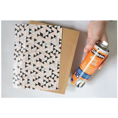 Cléopâtre ACR250 Bastelkleber - wiederverwendbar, Sprühdose, 250ml Cléopâtre ACR250 Bastelkleber - wiederverwendbar, Sprühdose, 250ml
