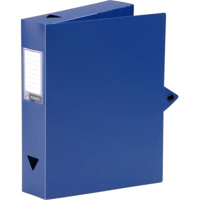 Viquel 114202 03 Scatola archivio blu - Archivador Viquel 114202 03 Scatola archivio blu - Archivador