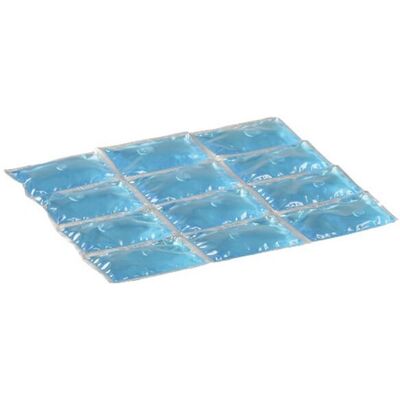 Campingaz Modelo 2000010674 Pacote de gelo - Ice Pack Campingaz Modelo 2000010674 Pacote de gelo - Ice Pack