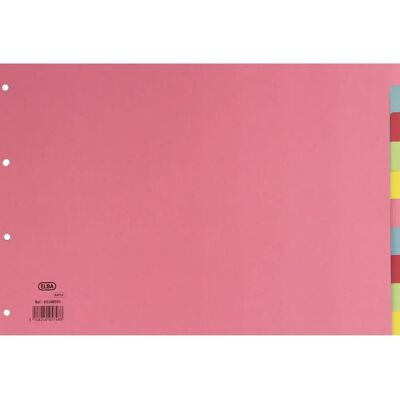 Elba 100080772 Multicolour 10 pcs - Divider Elba 100080772 Multicolour 10 pcs - Divider