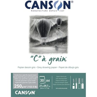Papier à Dessin Gris Canson - 30 Feuilles A4 - Grain Fin - Résistant - Publicité Papier à Dessin Gris Canson - 30 Feuilles A4 - Grain Fin - Résistant - Publicité