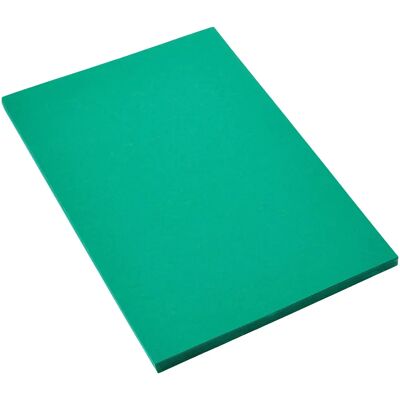 Carton d'art Canson Vert - A4 - 185g - Pack de 50 Carton d'art Canson Vert - A4 - 185g - Pack de 50