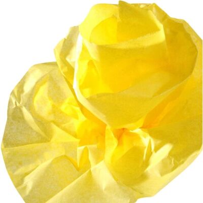 Canson C200992660 Limetten Krepppapier - Produkttyp Canson C200992660 Limetten Krepppapier - Produkttyp