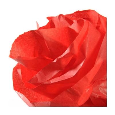 Papier Crépe Canson - Rouge - 0,5x5m, 20g/m², Lot de 8 - Publicité Papier Crépe Canson - Rouge - 0,5x5m, 20g/m², Lot de 8 - Publicité