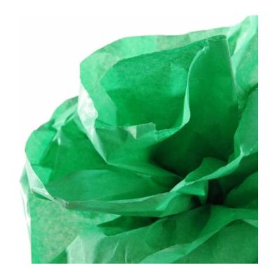 Canson C200992666 Papier de soie vert - Papier de soie - Publicité Canson C200992666 Papier de soie vert - Papier de soie - Publicité