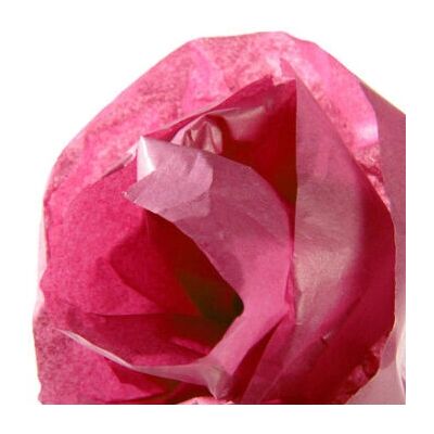 Papier Crépe Rose Canson - 0,5x5m, 20g/m2, Lot de 8 - Type de produit Papier Crépe Rose Canson - 0,5x5m, 20g/m2, Lot de 8 - Type de produit