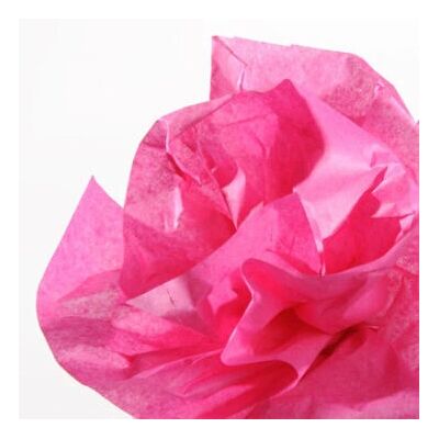 Canson C200992669 Papier de Soie Rose - Papier de soie - Publicité Canson C200992669 Papier de Soie Rose - Papier de soie - Publicité