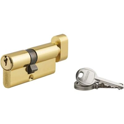 THIRARD - ECOPRO - Laiton - 40x30mm - Cylindre - Publicité THIRARD - ECOPRO - Laiton - 40x30mm - Cylindre - Publicité