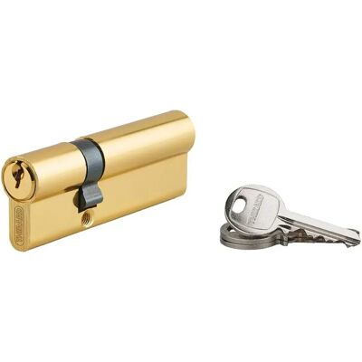 THIRARD - Ecopro - Brass - 30x60mm - Lock cylinder - Publicité THIRARD - Ecopro - Brass - 30x60mm - Lock cylinder - Publicité