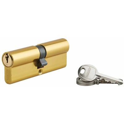 THIRARD - ECOPRO - Alluminio - 45x45mm - Lock cylinder THIRARD - ECOPRO - Alluminio - 45x45mm - Lock cylinder