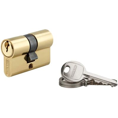 THIRARD - Cilindro europeo a doppia entrata sa 20x20mm - Cylinder THIRARD - Cilindro europeo a doppia entrata sa 20x20mm - Cylinder