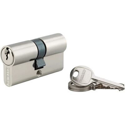 Thirard - Cylindre à clé crantée 30 x 30 mm - Nickel plated - 3 keys - Lock Cylinder Thirard - Cylindre à clé crantée 30 x 30 mm - Nickel plated - 3 keys - Lock Cylinder