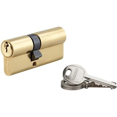 THIRARD - Cilindro europeo a doppia entrata SA - 30X40mm - Lock cylinder THIRARD - Cilindro europeo a doppia entrata SA - 30X40mm - Lock cylinder