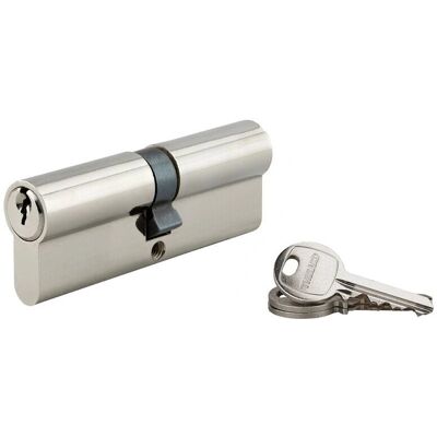 THIRARD - Cilindro europeo a doppia entrata sa 45X45mm, vite 50mm, antisfilamento, nichel, 3 chiavi THIRARD - Cilindro europeo a doppia entrata sa 45X45mm, vite 50mm, antisfilamento, nichel, 3 chiavi
