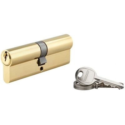 THIRARD - Cilindro europeo SA 45X45 - vite 45mm THIRARD - Cilindro europeo SA 45X45 - vite 45mm