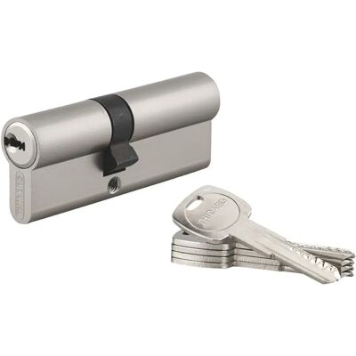 Thirard - Cylindre Trafic 6 - Brass Thirard - Cylindre Trafic 6 - Brass