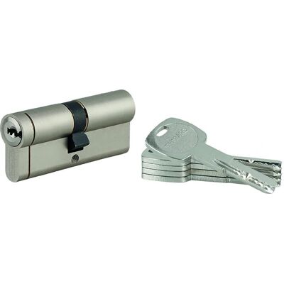 Cilindro europeo Thirard Nickel Transit 1 - Serratura di alta sicurezza Cilindro europeo Thirard Nickel Transit 1 - Serratura di alta sicurezza