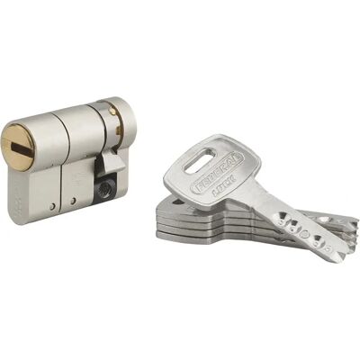 THIRARD - Federal S - 30x10mm - Nickel - Cilindro di Serratura THIRARD - Federal S - 30x10mm - Nickel - Cilindro di Serratura