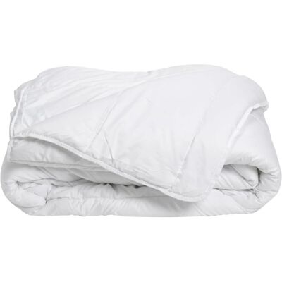 Bleu Câlin - Coton Bio Printemps Été - 240x260cm - duvet - Publicité Bleu Câlin - Coton Bio Printemps Été - 240x260cm - duvet - Publicité