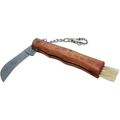 Cao Outdoor Paddenstoelenmes met Borstel - Jachtmes Cao Outdoor Paddenstoelenmes met Borstel - Jachtmes
