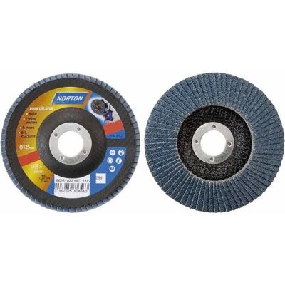 Norton 125 x 22 mm Korn 60 Schleifscheibe Norton 125 x 22 mm Korn 60 Schleifscheibe