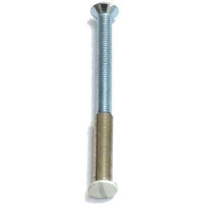 Vite zincata BEZAULT SAS 4x50mm per rivetti - Fissaggio Vite zincata BEZAULT SAS 4x50mm per rivetti - Fissaggio
