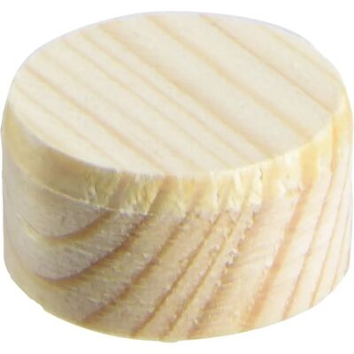 Bosch 2609255321 Tappi di legno - 20x10mm - 40 pezzi Bosch 2609255321 Tappi di legno - 20x10mm - 40 pezzi