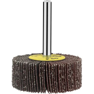 Bosch Modèle 2609256282 Roues Abrasives - Accessoires pour perceuses - Publicité Bosch Modèle 2609256282 Roues Abrasives - Accessoires pour perceuses - Publicité